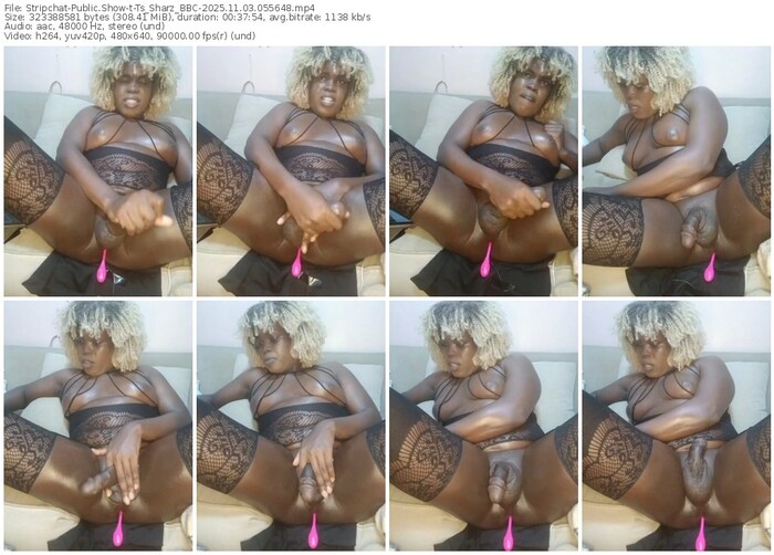 stripchat-ts_sharz_bbc-11-03-2025-05-56-48