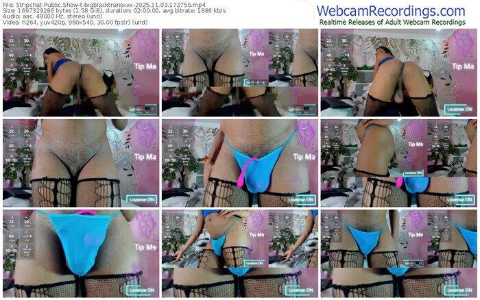 stripchat-bigblacktransxxx-11-03-2025-17-27-59