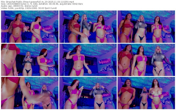 stripchat-powerfull_ts_20-11-03-2025-11-02-50