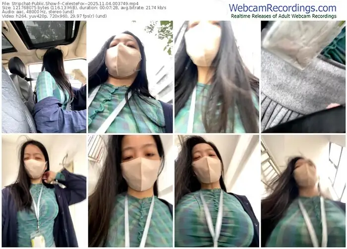 stripchat--celestefox--11-04-2025-00-37-49
