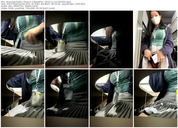 stripchat--celestefox--11-04-2025-02-50-32