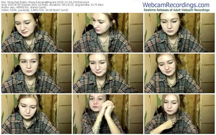stripchat-arianebhayani-11-04-2025-23-03-34