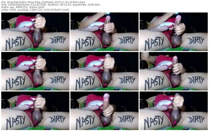 stripchat-big_slutnasty-11-04-2025-22-36-14