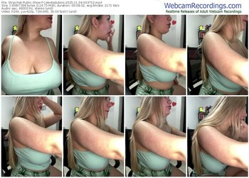 stripchat-celestedubois-11-04-2025-00-37-52