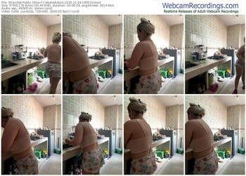 stripchat-celestedubois-11-04-2025-18-55-33