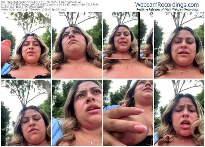 stripchat-dulce__26-11-04-2025-18-40-57