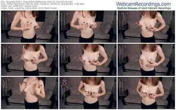 stripchat-dionpefferman-11-04-2025-00-01-42