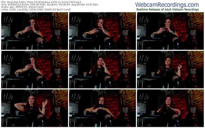 stripchat-findommya-11-04-2025-01-13-03