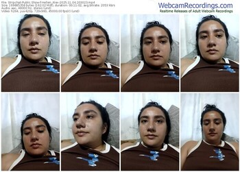 stripchat-hellen_alex-11-04-2025-20-30-23