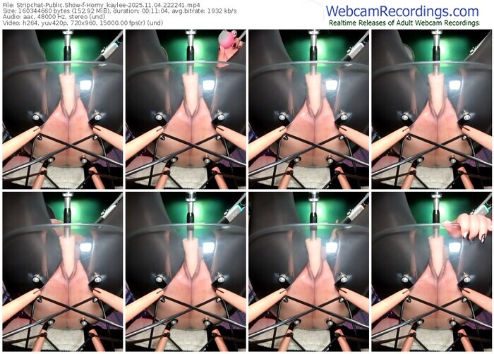 stripchat-horny_kaylee-11-04-2025-22-22-41