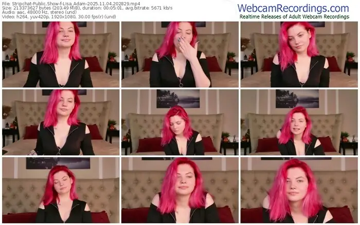 stripchat-lisa_adam-11-04-2025-20-28-29