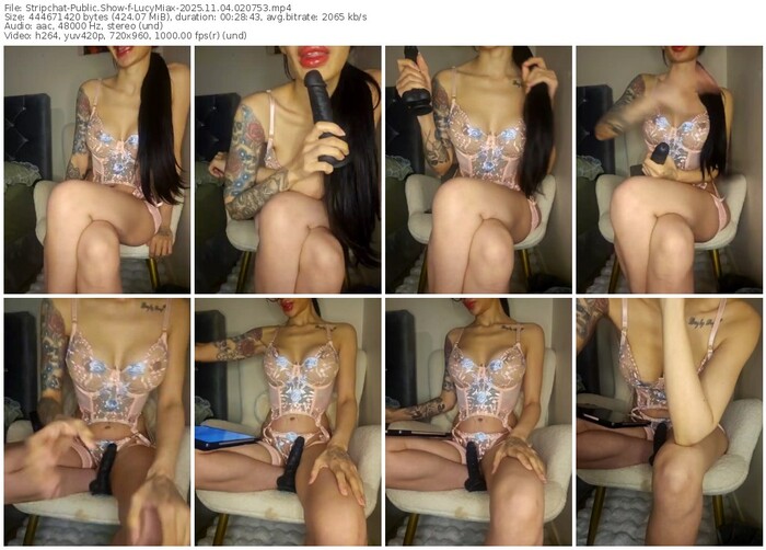 stripchat-lucymiax-11-04-2025-02-07-53