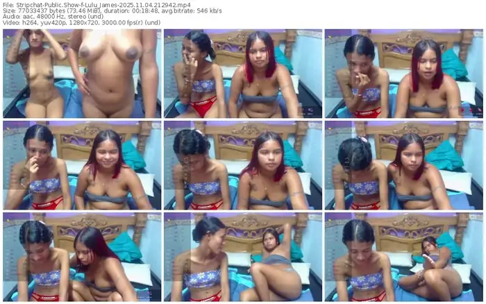 stripchat-lulu_james-11-04-2025-21-29-42