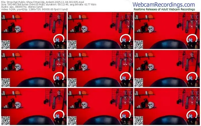 stripchat-ma1ilda_ardent-11-04-2025-00-16-05