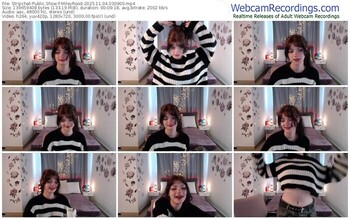 stripchat-mileyrood-11-04-2025-03-09-00