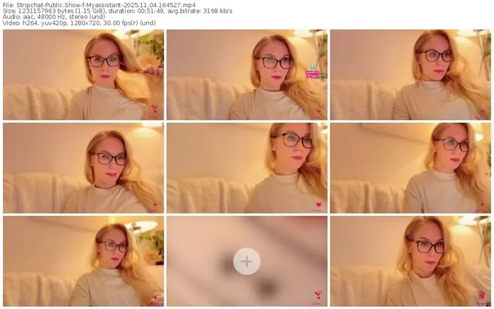 stripchat-myassistant-11-04-2025-16-45-27