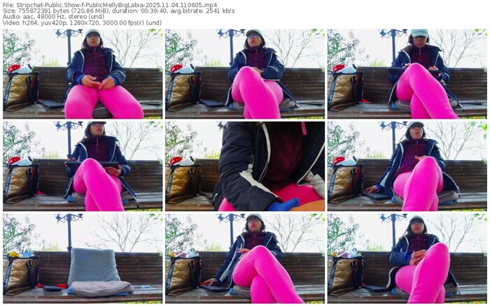 stripchat-publicmellybiglabia-11-04-2025-11-06-05