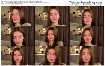 stripchat-rosamunoz_-11-04-2025-06-02-45