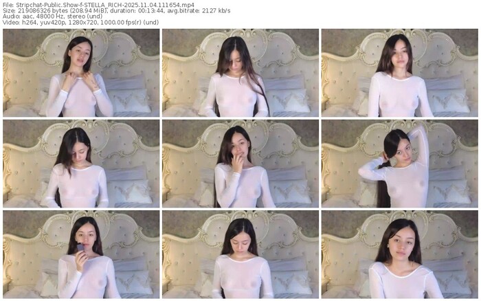 stripchat-stella_rich-11-04-2025-11-16-54
