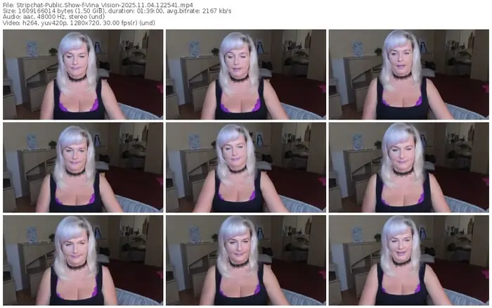stripchat-vina_vision-11-04-2025-12-25-41