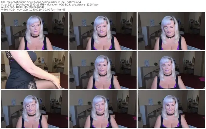 stripchat-vina_vision-11-04-2025-15-00-03