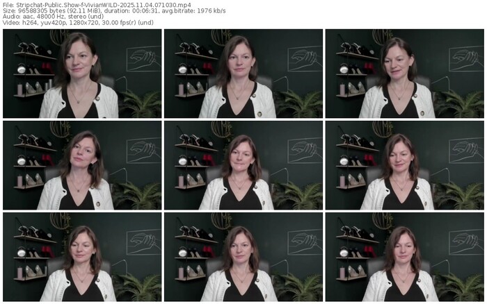stripchat-vivianwild-11-04-2025-07-10-30
