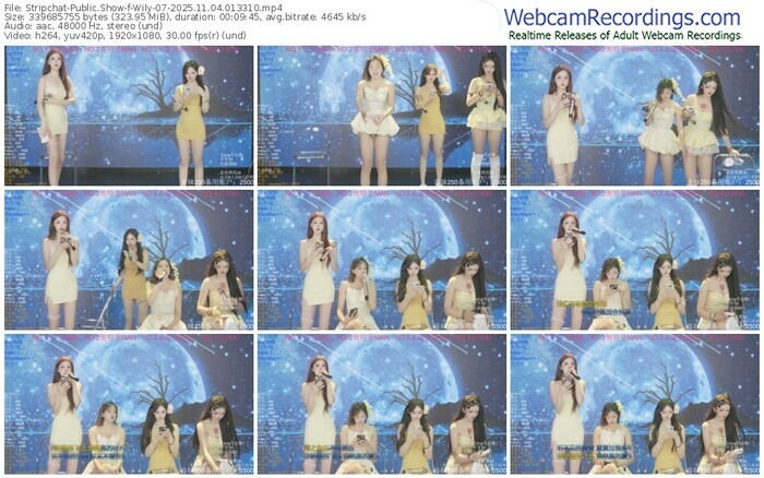 stripchat-wily-07-11-04-2025-01-33-10