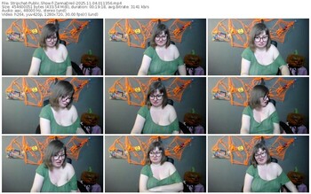 stripchat-zannadreil-11-04-2025-01-13-56