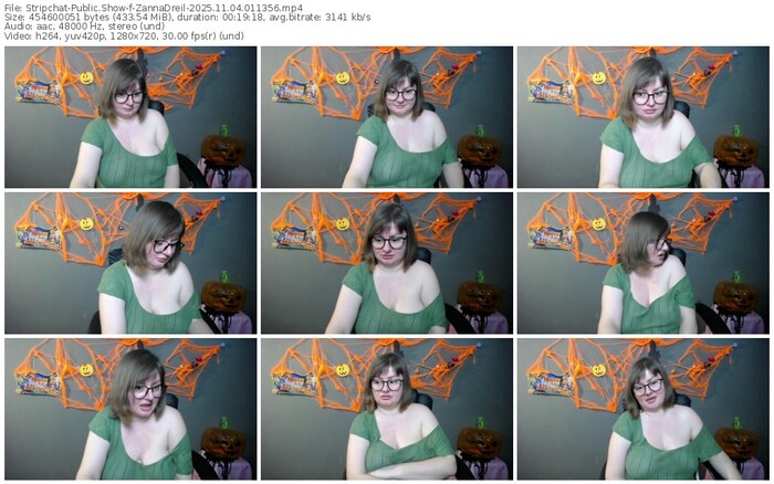 stripchat-zannadreil-11-04-2025-01-13-56