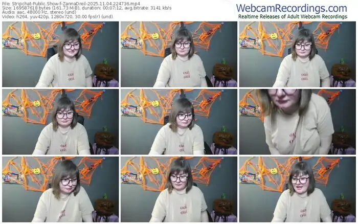 stripchat-zannadreil-11-04-2025-22-47-36