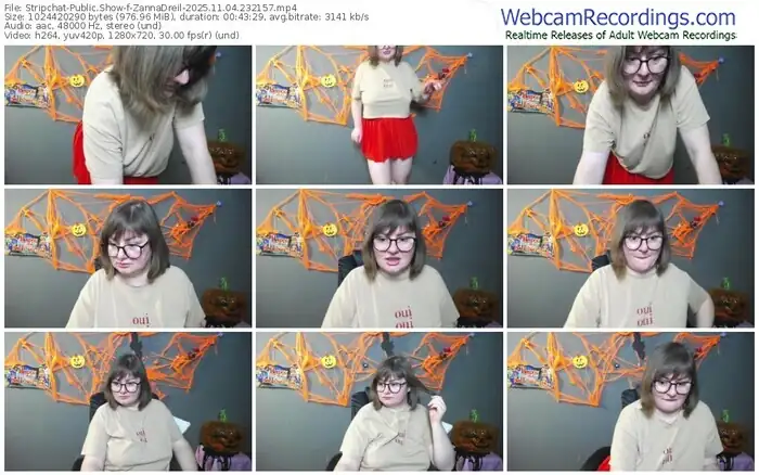 stripchat-zannadreil-11-04-2025-23-21-57