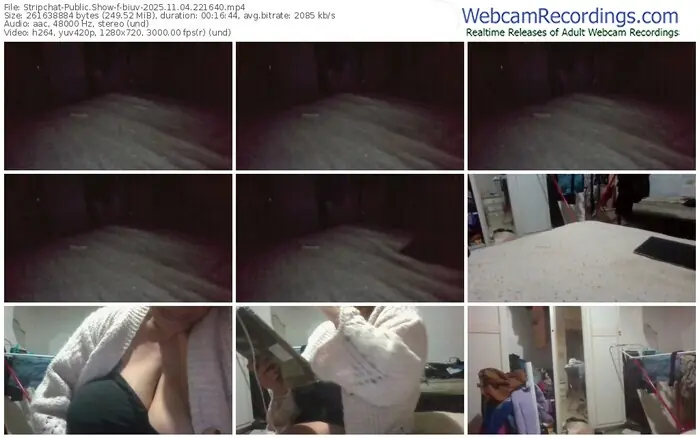 stripchat-biuv-11-04-2025-22-16-40