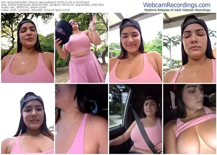 stripchat-camiysebas21-11-04-2025-21-20-23