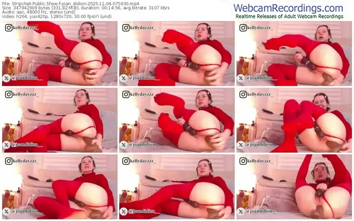 stripchat-joan_didion-11-04-2025-07-59-30