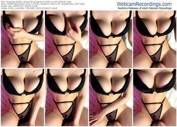 stripchat-kristinalove0-11-04-2025-22-56-00