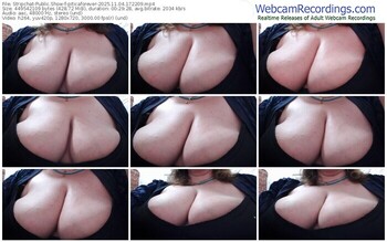 stripchat-piticaforever-11-04-2025-17-22-09