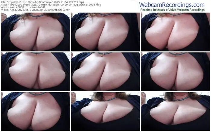 stripchat-piticaforever-11-04-2025-17-22-09