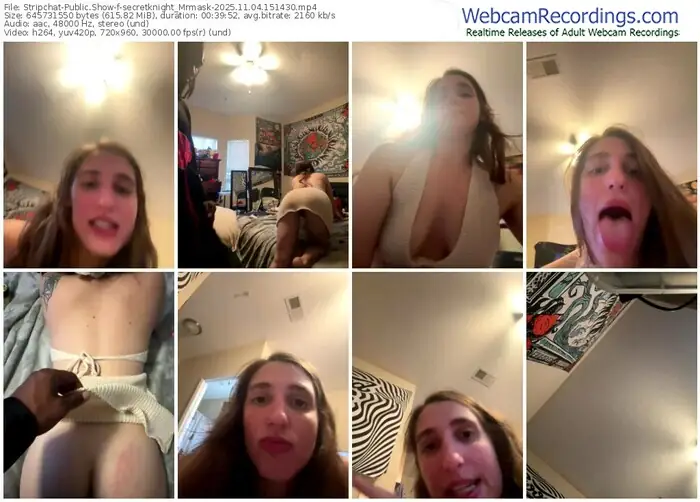 stripchat-secretknight_mrmask-11-04-2025-15-14-30