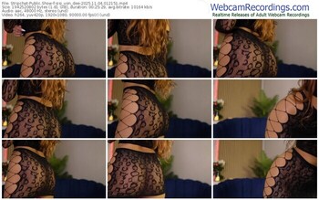 stripchat-sisi_von_dee-11-04-2025-01-21-51