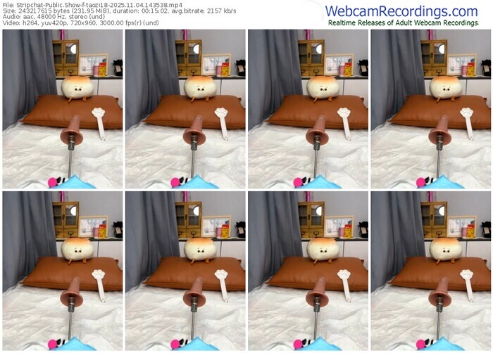 stripchat-taozi18-11-04-2025-14-35-38