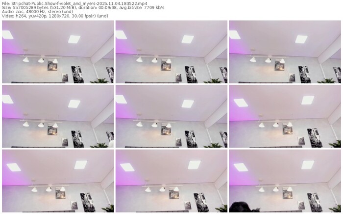 stripchat-violet_and_myers-11-04-2025-18-35-22