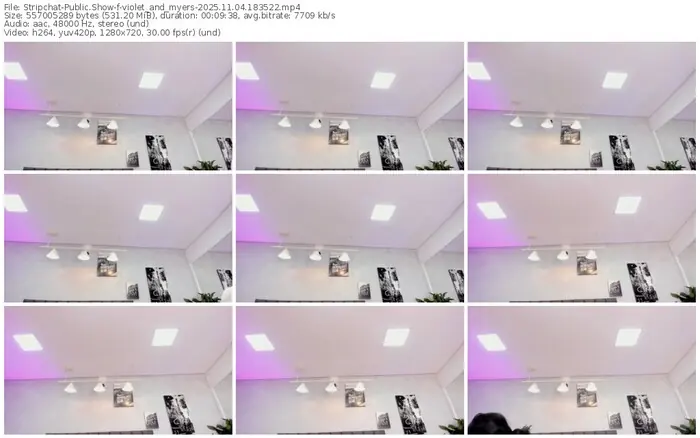 stripchat-violet_and_myers-11-04-2025-18-35-22