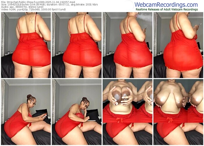 stripchat-xyz089-11-04-2025-19-20-57