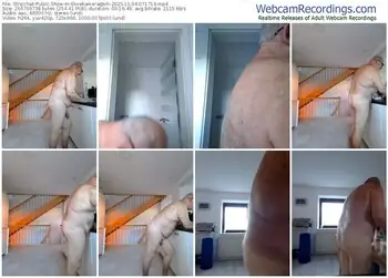 stripchat-6livekamera@xh-11-04-2025-07-17-19