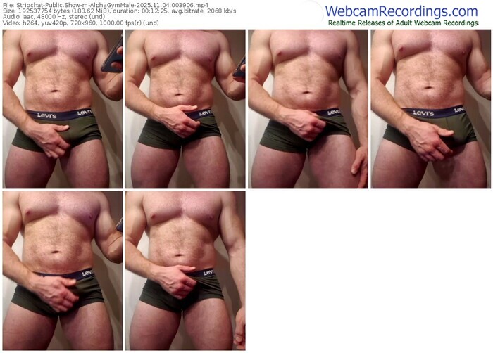 stripchat-alphagymmale-11-04-2025-00-39-06