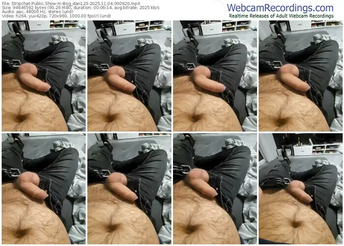 stripchat-bog_dan123-11-04-2025-00-09-20