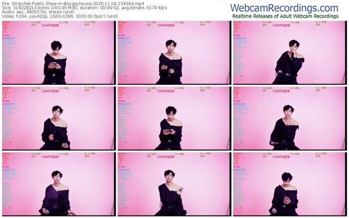 stripchat-boygayhouse-11-04-2025-13-49-44