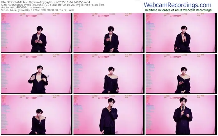 stripchat-boygayhouse-11-04-2025-14-33-55