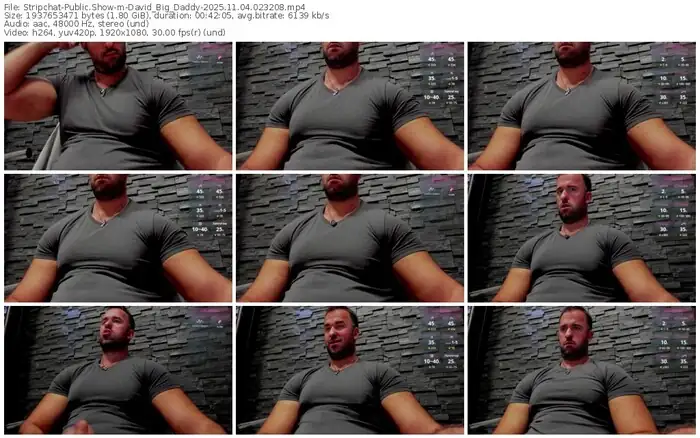 stripchat-david_big_daddy-11-04-2025-02-32-08