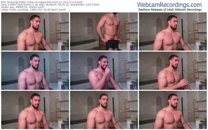 stripchat-ivanhydee-11-04-2025-11-11-14